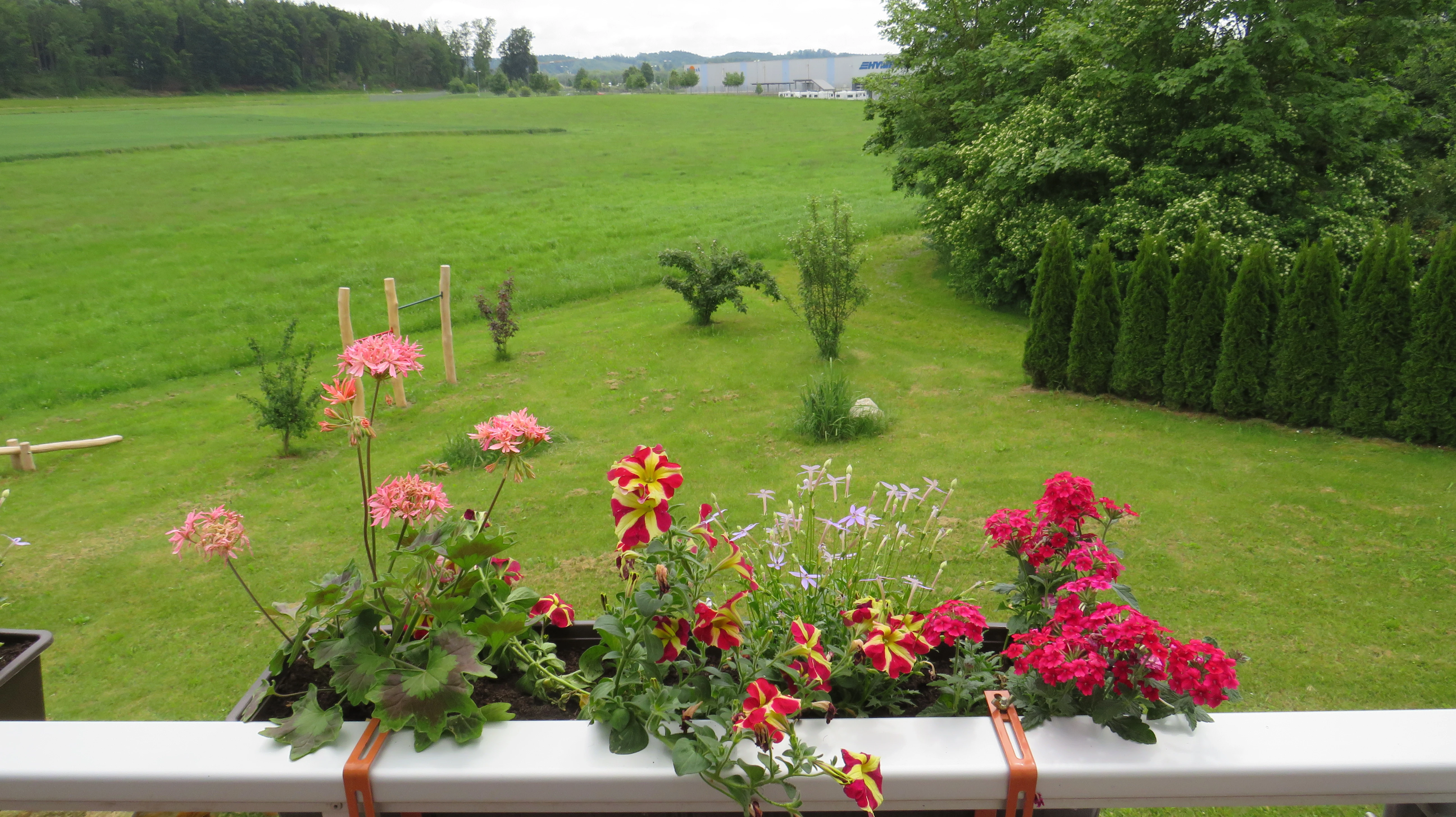 Ferienhaus - Balkon